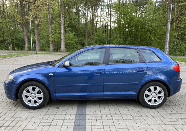 Audi A3 cena 21300 przebieg: 226000, rok produkcji 2006 z Łuków małe 191
